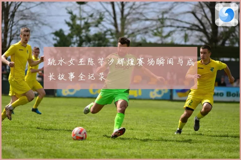 跳水女王陈芋汐辉煌赛场瞬间与成长故事全记录