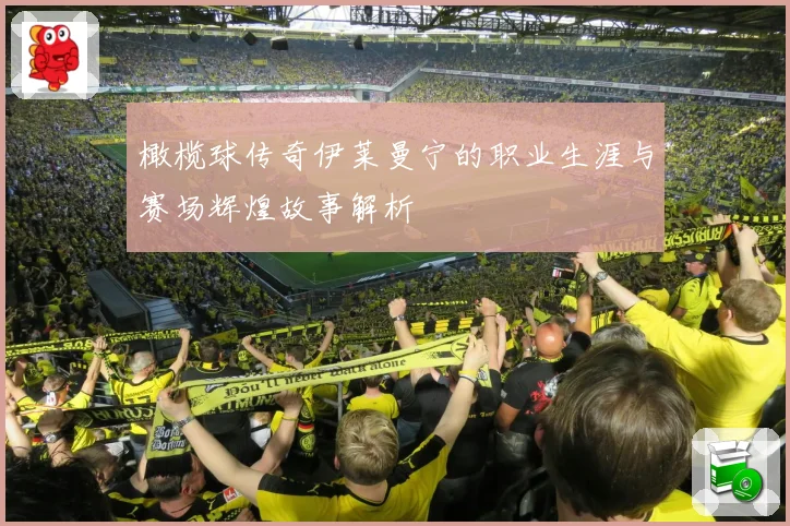 橄榄球传奇伊莱曼宁的职业生涯与赛场辉煌故事解析