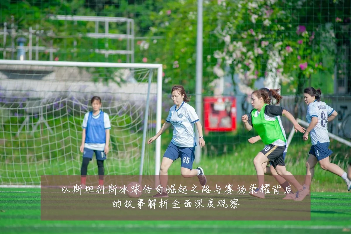 以斯坦科斯冰球传奇崛起之路与赛场荣耀背后的故事解析全面深度观察